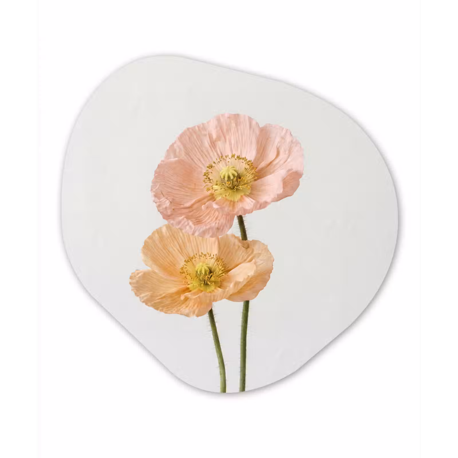 Organisch schilderij - Forex - Papavers - Botanisch - Roze — 1