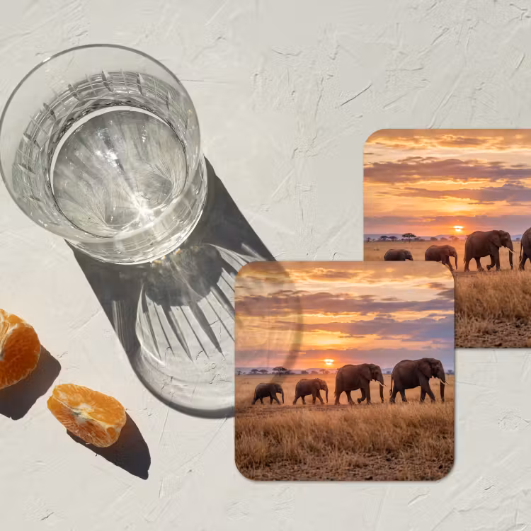 Onderzetter - Olifanten - Savanne - Zonsondergang - Afrika - Warm — 3