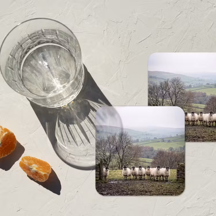 Onderzetter - Schapen - Rij - Weide - Dieren - Platteland — 3