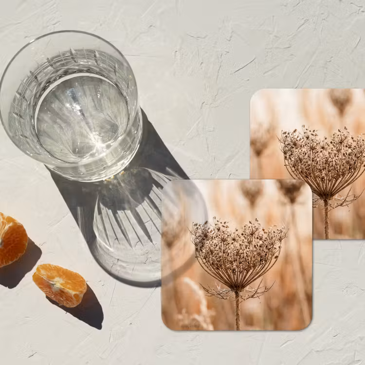 Onderzetter - Schermbloem - Droogbloem - Winter - Beige - Minimalistisch — 3