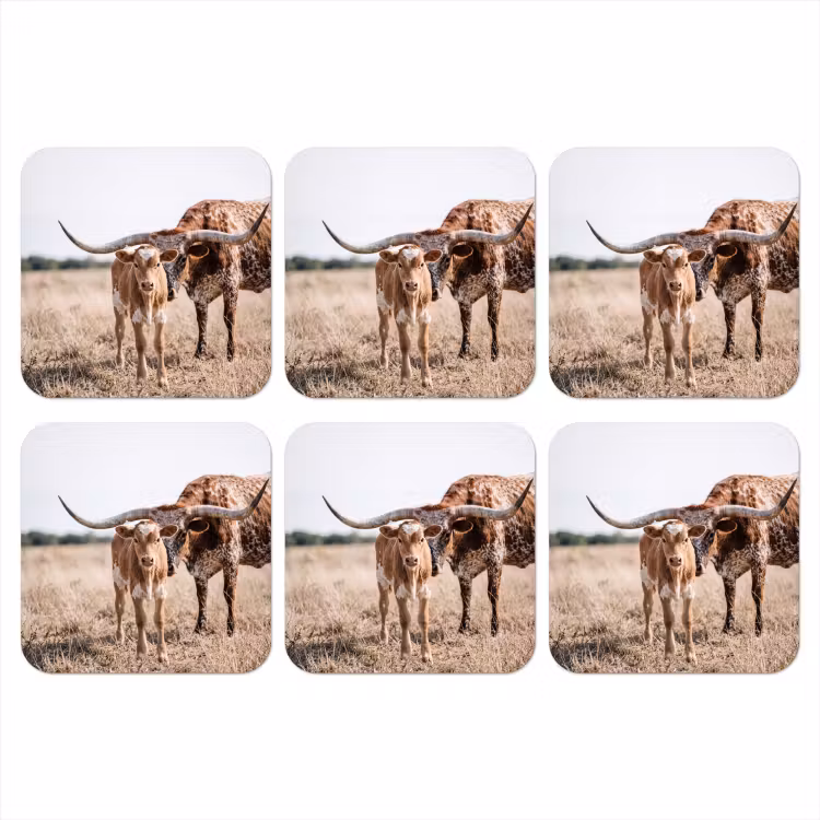 Onderzetter - Texas Longhorn - Kalf - Weide - Dieren — 1