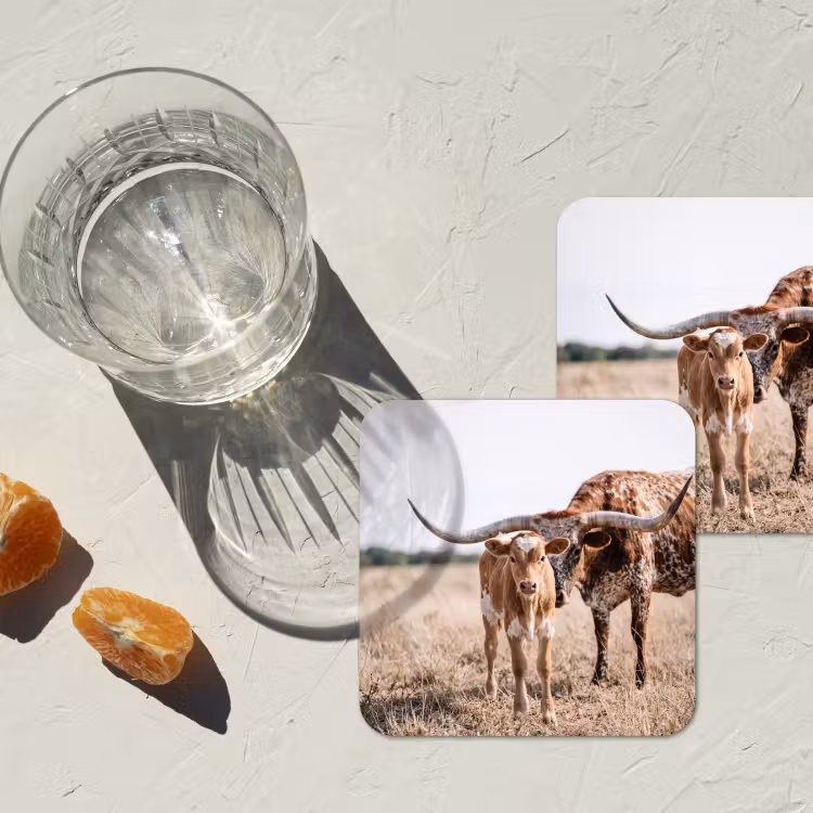 Onderzetter - Texas Longhorn - Kalf - Weide - Dieren — 3