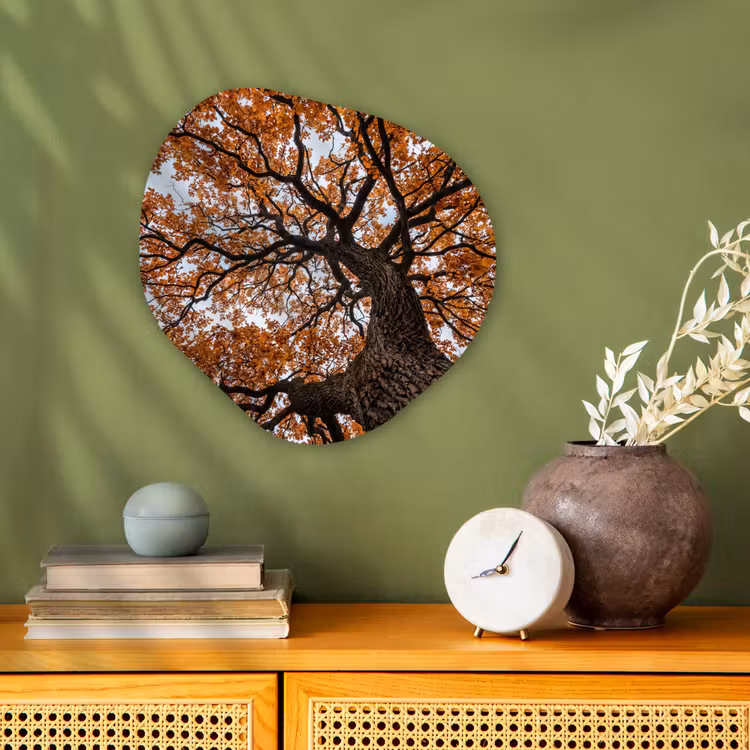Organisch schilderij - Forex - Boom - Bladerdak - Herfst - Oranje - Sfeervol — 2