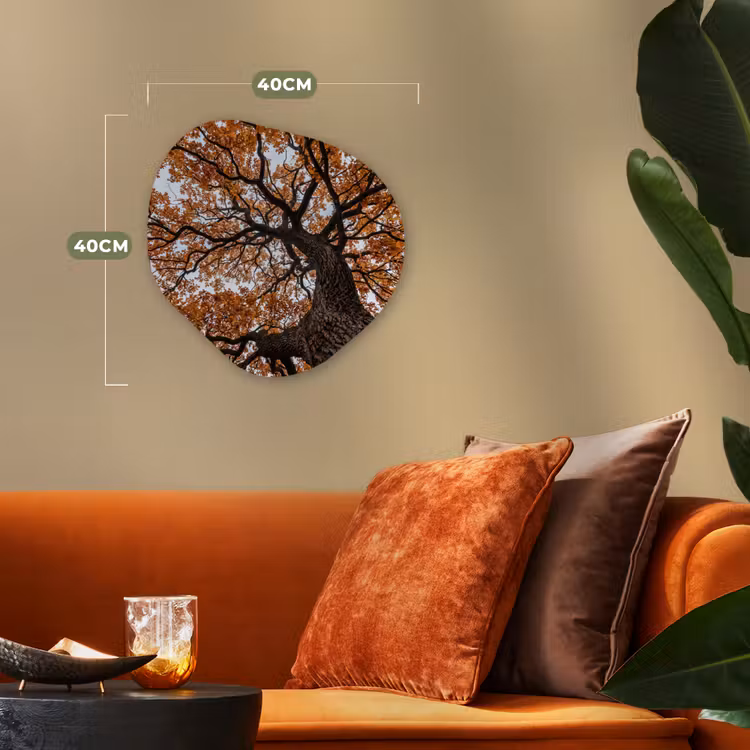 Organisch schilderij - Forex - Boom - Bladerdak - Herfst - Oranje - Sfeervol — 4