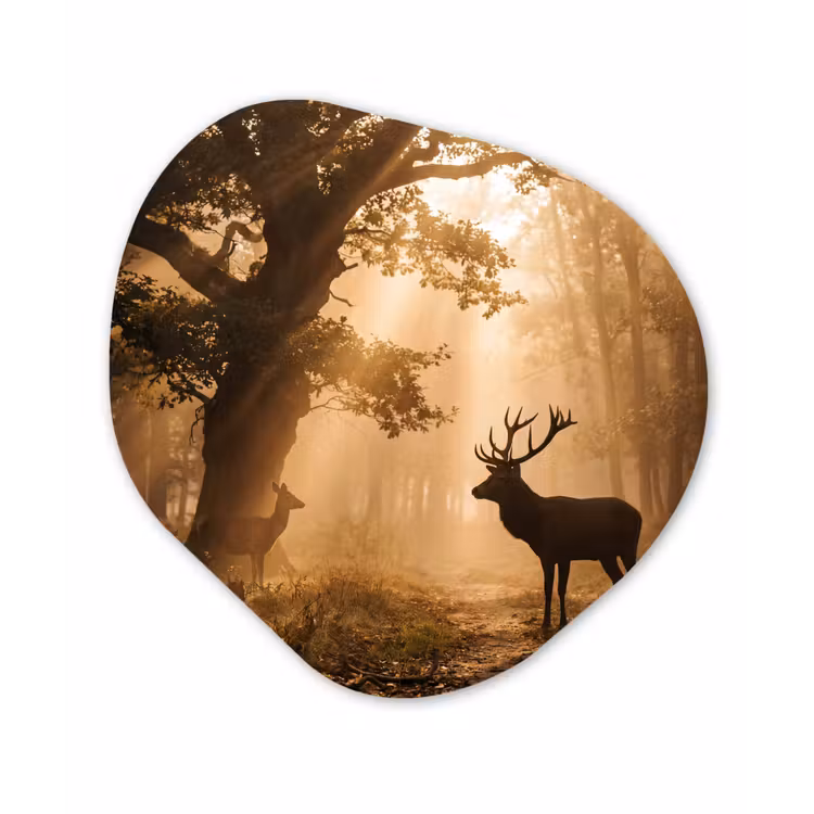 Organisch schilderij - Forex - Hert - Bos - Mistig - Natuur - Goud — 1