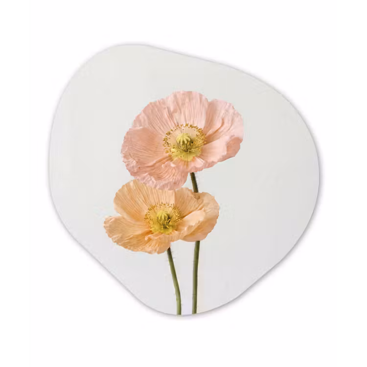 Organisch schilderij - Forex - Papavers - Botanisch - Roze — 1
