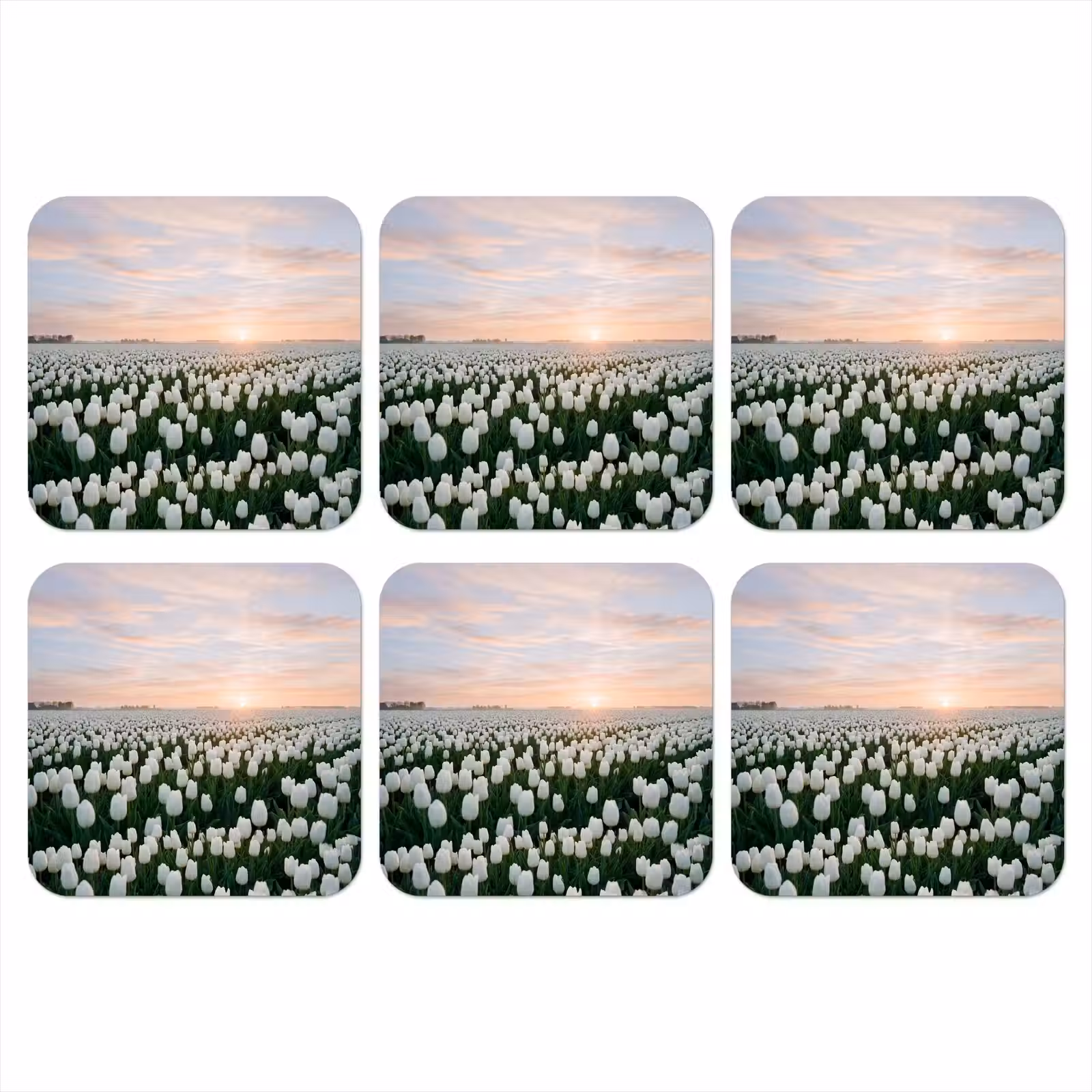 Onderzetter - Tulpen - Landschap - Wit — 1
