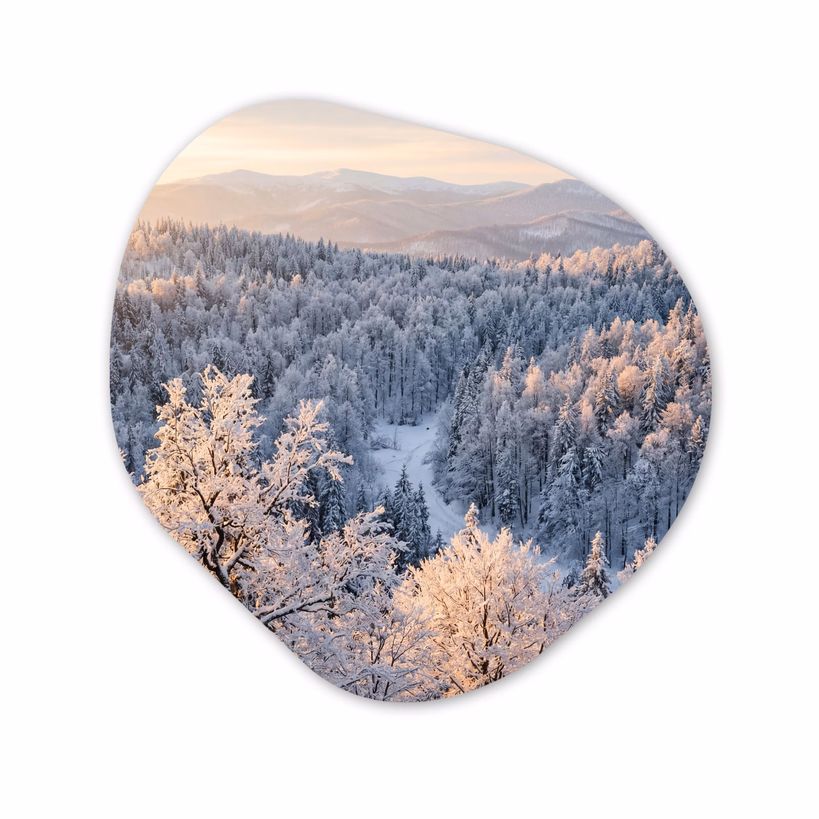 Organisch schilderij - Forex - Bos - Bergen - Goud - Winter - Warm — 1