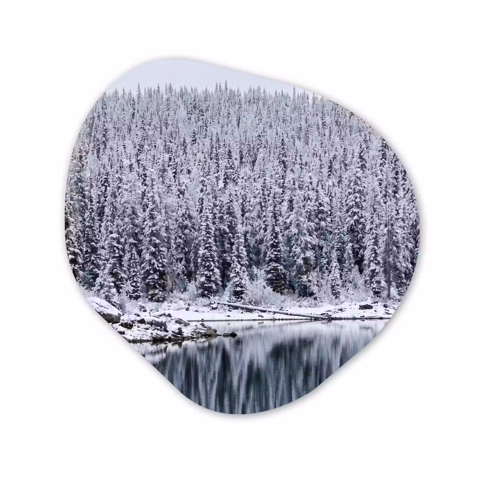 Organisch schilderij - Forex - Bos - Reflectie - Meer - Winter - Serene — 1