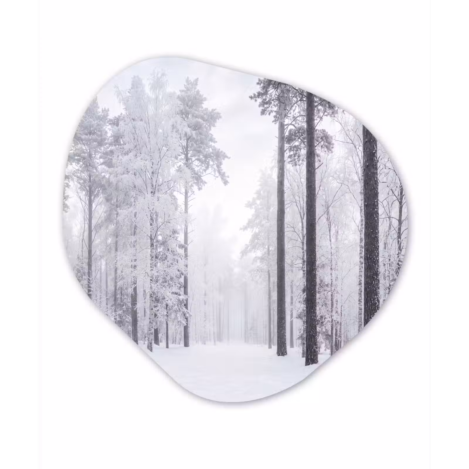 Organisch schilderij - Forex - Bos - Sneeuw - Pad - Winter - Stilte — 1