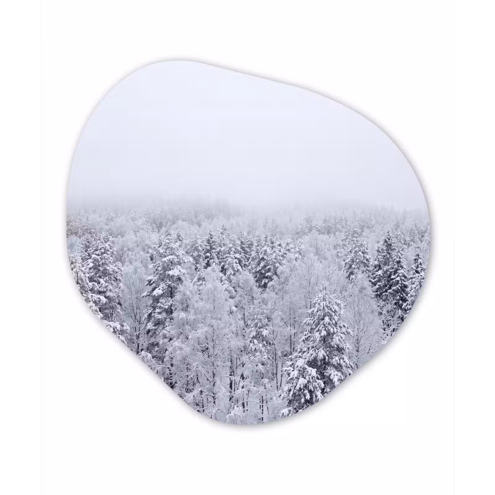 Organisch schilderij - Forex - Bos - Sneeuw - Winter - Natuur - Wit — 1