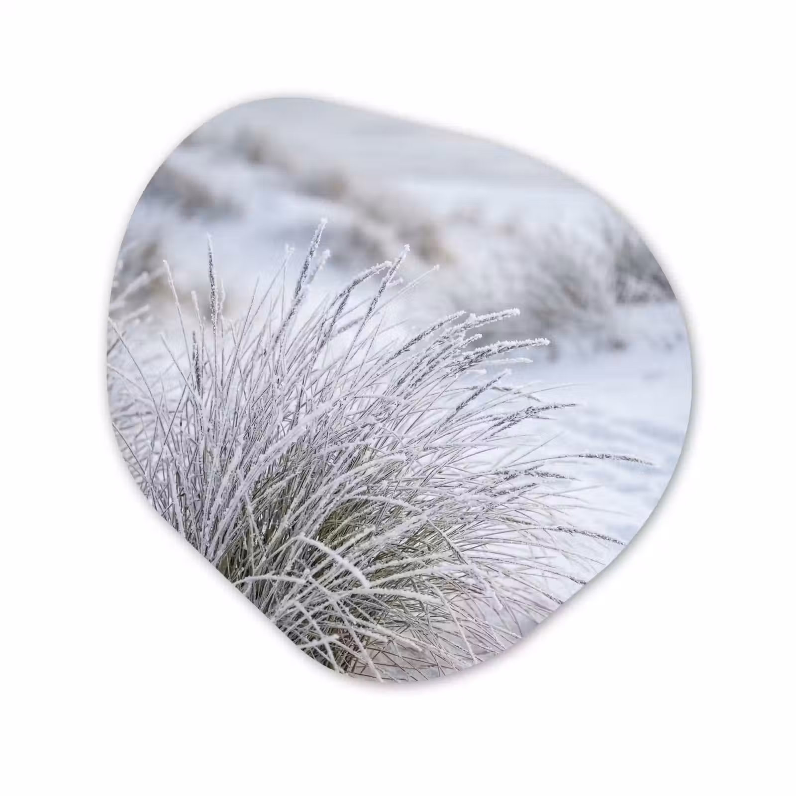 Organisch schilderij - Forex - Duinen - Sneeuw - Strand - Winter - Serene — 1