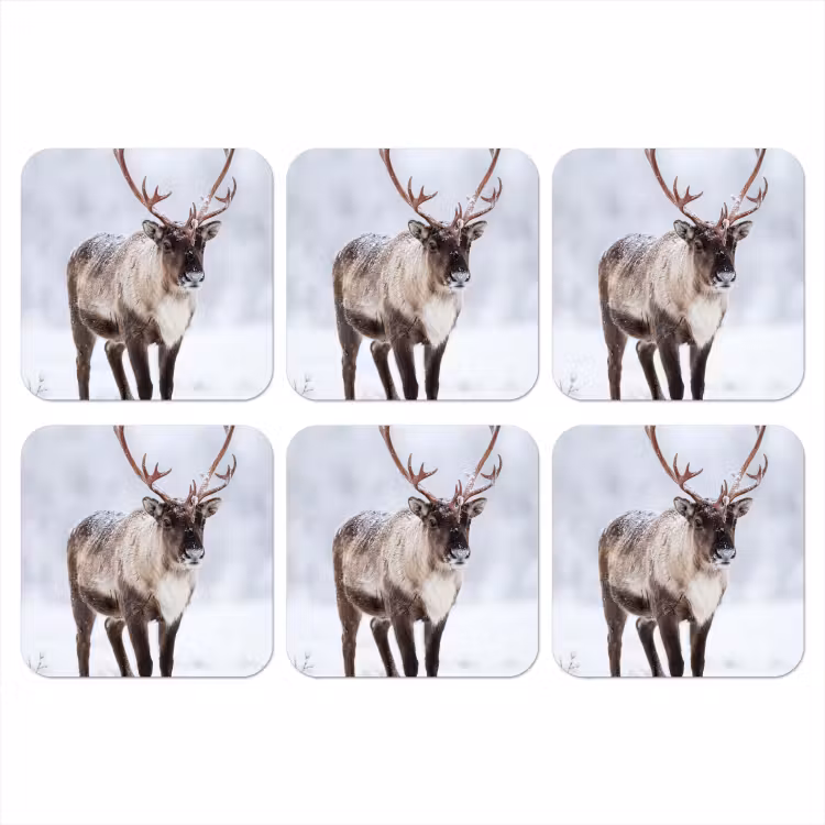 Onderzetter​ - Rendier - Gewei - Toendra - Sneeuw - Wild — 1