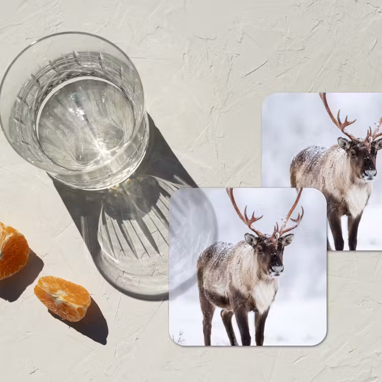 Onderzetter​ - Rendier - Gewei - Toendra - Sneeuw - Wild — 3