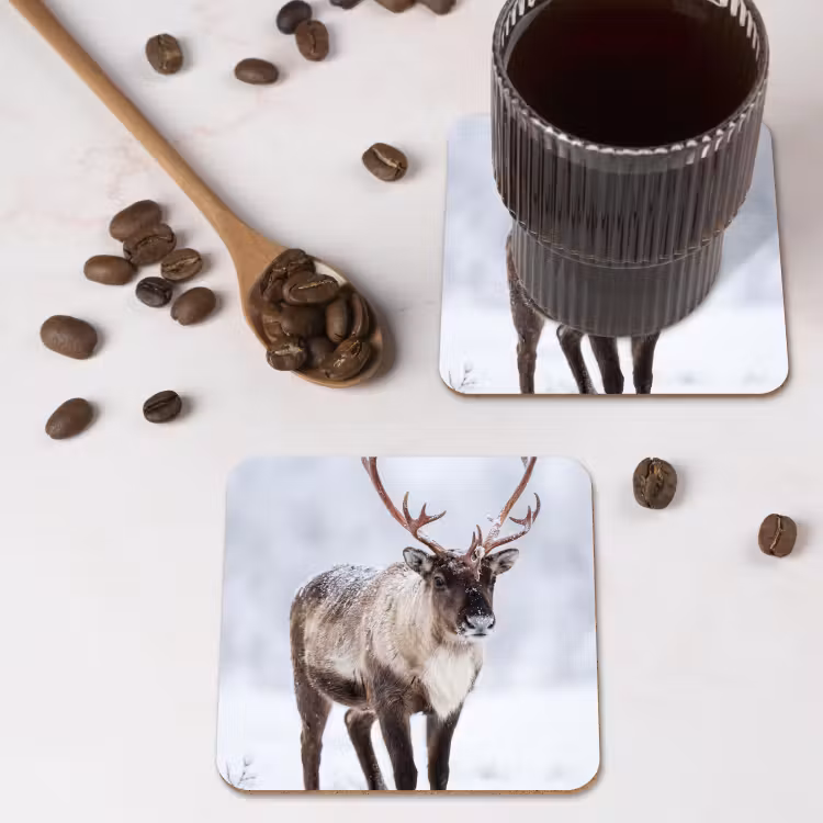 Onderzetter​ - Rendier - Gewei - Toendra - Sneeuw - Wild — 4