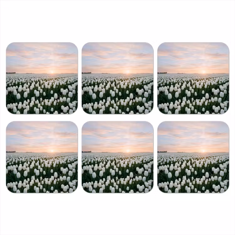 Onderzetter - Tulpen - Landschap - Wit — 1