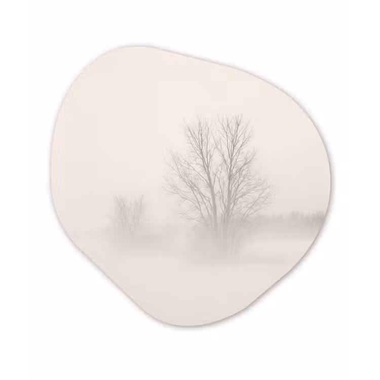 Organisch schilderij - Forex - Boom - Mist - Sneeuw - Winter - Minimalistisch — 1