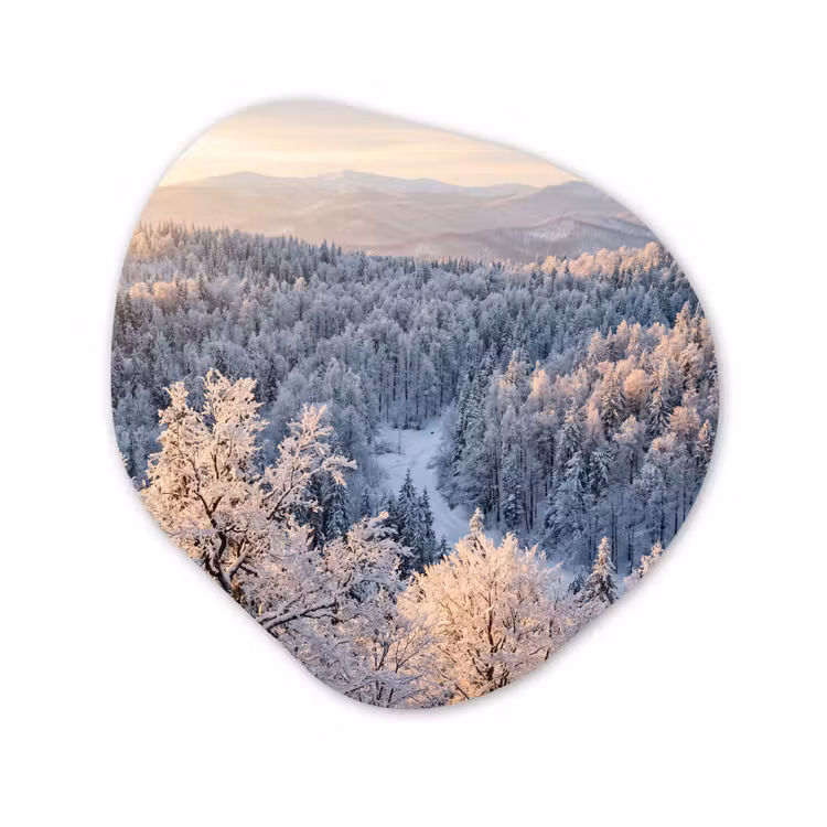 Organisch schilderij - Forex - Bos - Bergen - Goud - Winter - Warm — 1