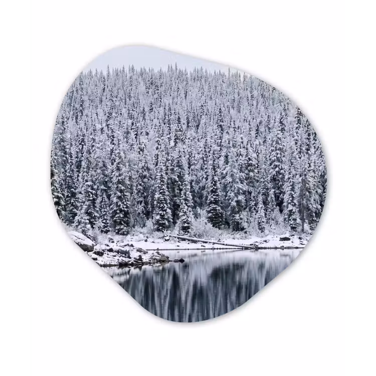 Organisch schilderij - Forex - Bos - Reflectie - Meer - Winter - Serene — 1