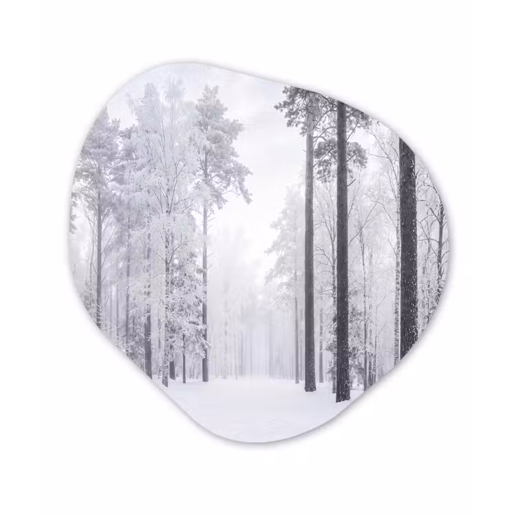 Organisch schilderij - Forex - Bos - Sneeuw - Pad - Winter - Stilte — 1