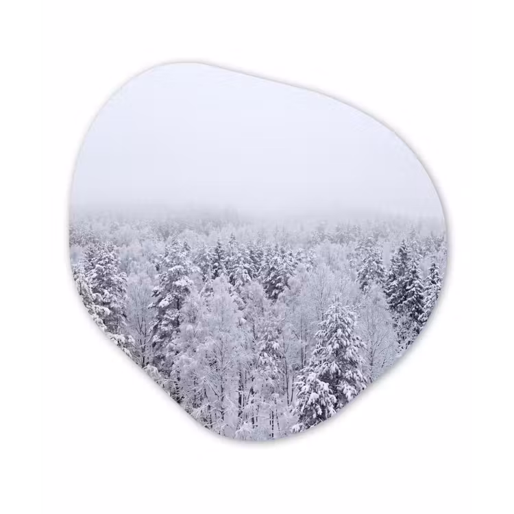 Organisch schilderij - Forex - Bos - Sneeuw - Winter - Natuur - Wit — 1