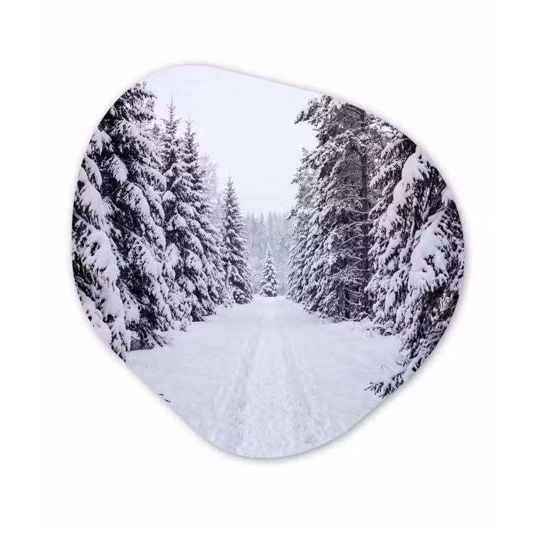 Organisch schilderij - Forex - Bos - Winter - Sneeuw - Pad - Natuur — 1