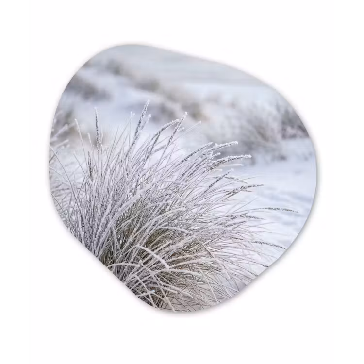 Organisch schilderij - Forex - Duinen - Sneeuw - Strand - Winter - Serene — 1