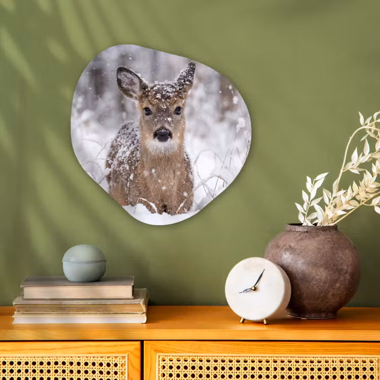 Organisch schilderij - Forex - Hert - Sneeuw - Bos - Dieren - Vertederend — 2