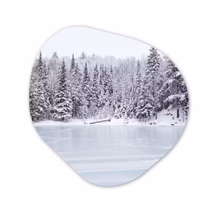Organisch schilderij - Forex - Meer - Dennen - IJs - Winter - Rustgevend — 1