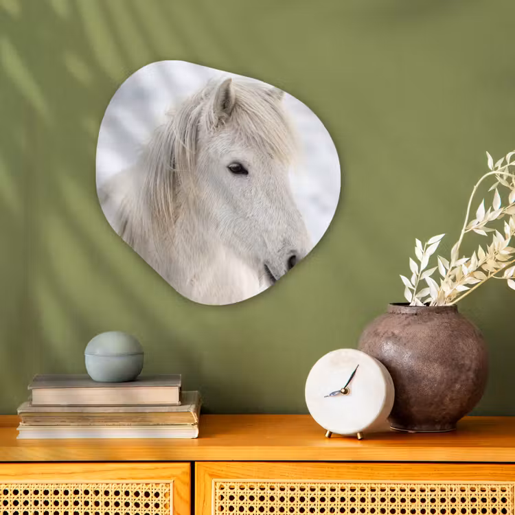 Organisch schilderij - Forex - Paard - Kop - Winter - Dieren - Wit — 2