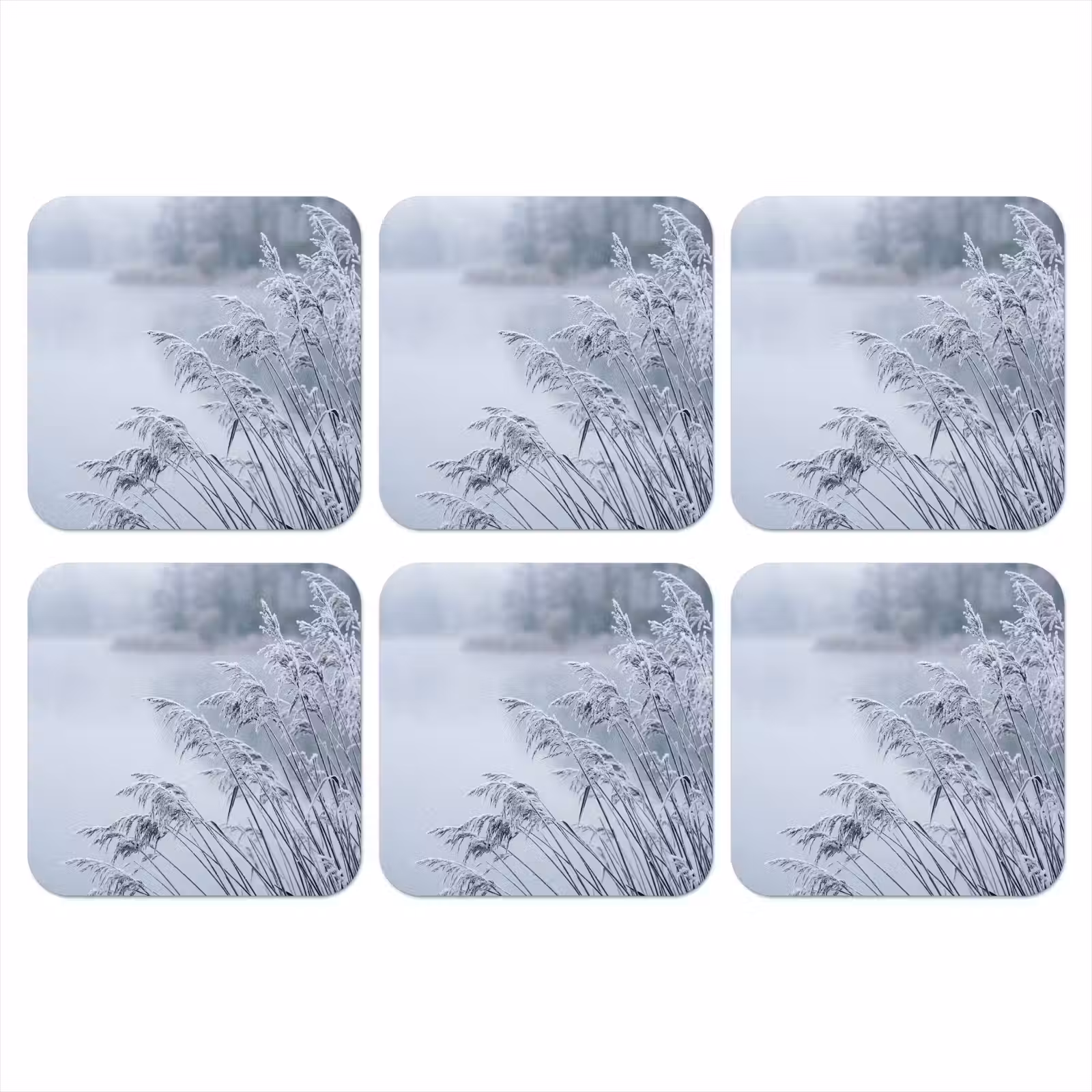 Onderzetter - Riet - Bevroren - Winter - Natuur — 1
