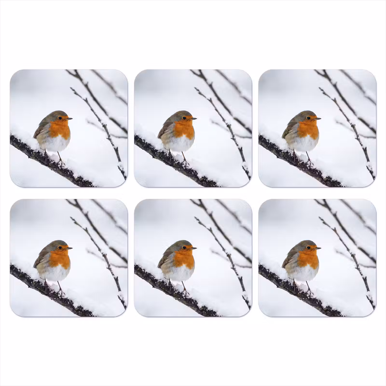 Onderzetter - Roodborstje - Tak - Sneeuw - Winter - Levendig — 1