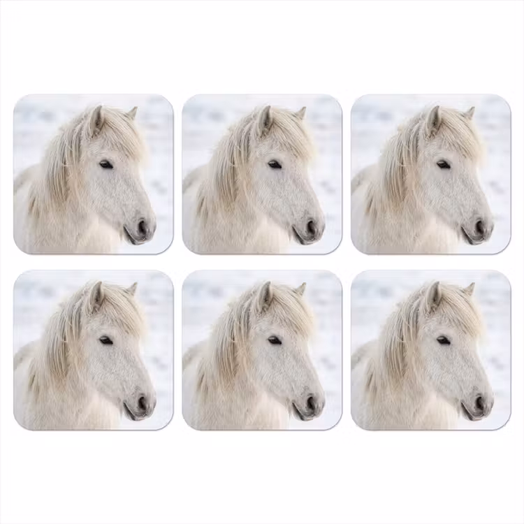 Onderzetter - Paard - Kop - Winter - Dieren - Wit — 1