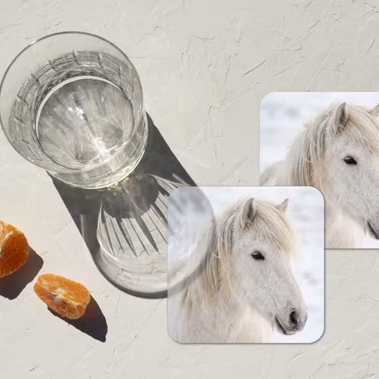 Onderzetter - Paard - Kop - Winter - Dieren - Wit — 3