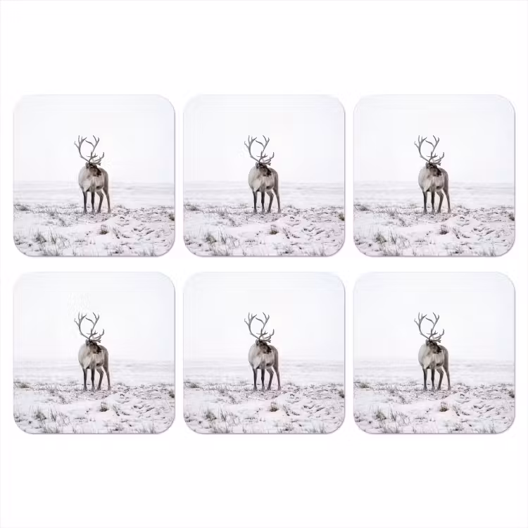 Onderzetter - Rendier - Gewei - Sneeuw - Winter — 1
