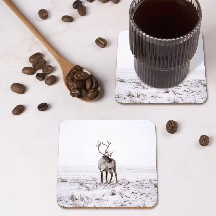 Onderzetter - Rendier - Gewei - Sneeuw - Winter — 4