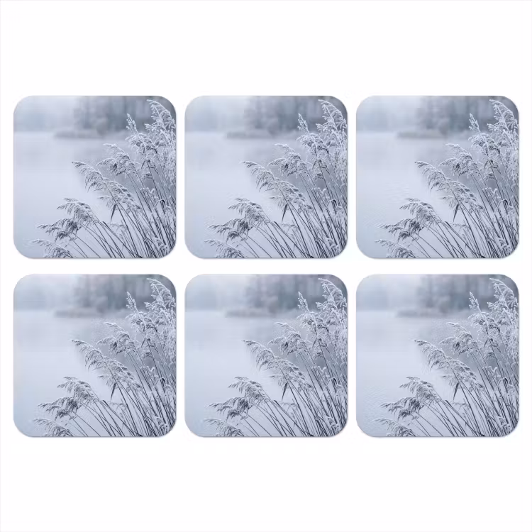 Onderzetter - Riet - Bevroren - Winter - Natuur — 1