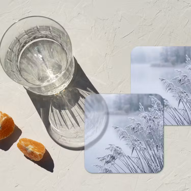 Onderzetter - Riet - Bevroren - Winter - Natuur — 3