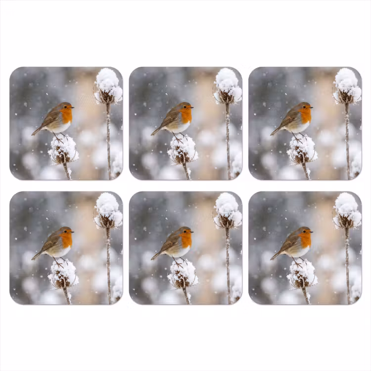 Onderzetter - Roodborstje - Gedroogde bloem - Sneeuw - Winter - Vertederend — 1