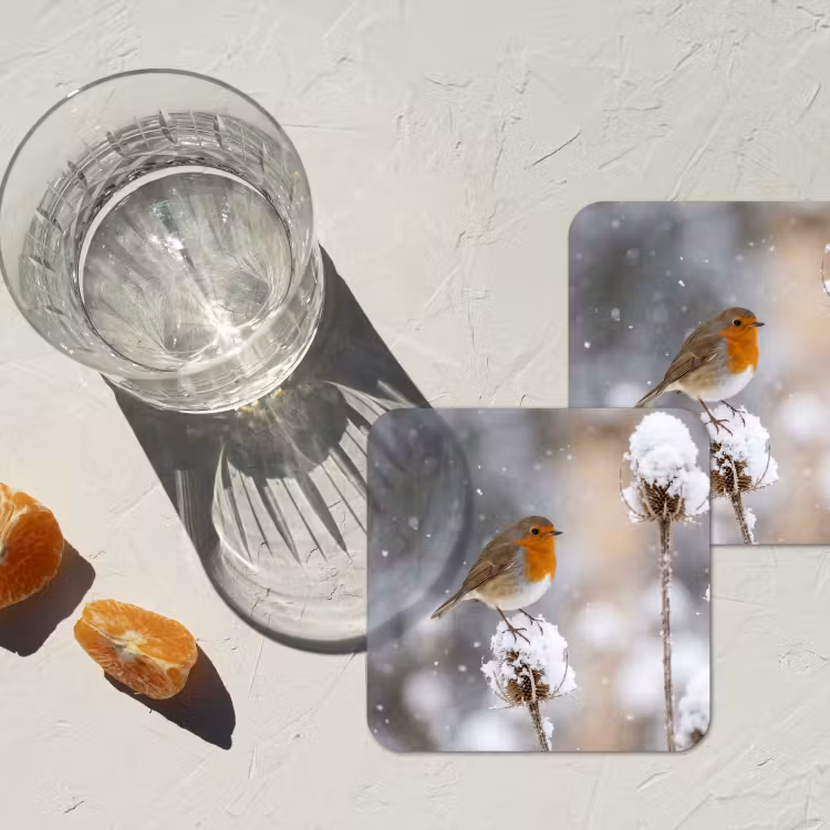 Onderzetter - Roodborstje - Gedroogde bloem - Sneeuw - Winter - Vertederend — 3