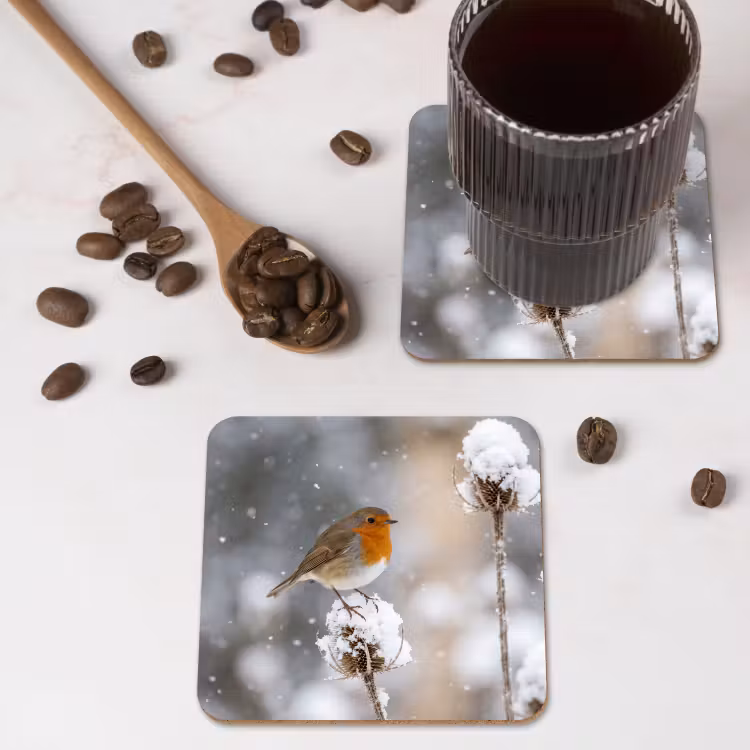 Onderzetter - Roodborstje - Gedroogde bloem - Sneeuw - Winter - Vertederend — 4