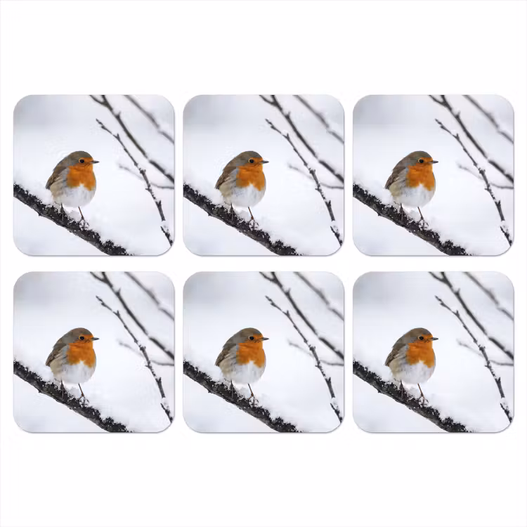Onderzetter - Roodborstje - Tak - Sneeuw - Winter - Levendig — 1