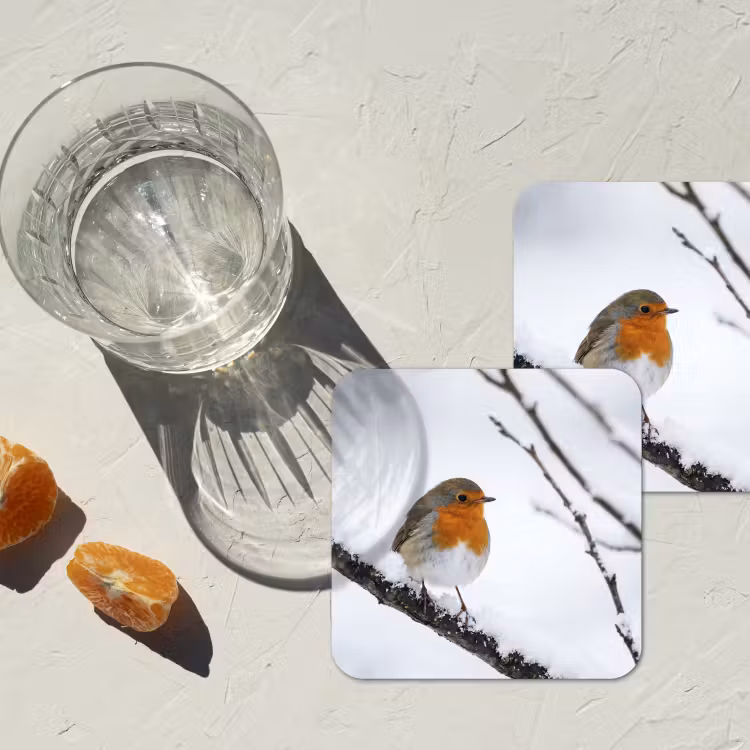 Onderzetter - Roodborstje - Tak - Sneeuw - Winter - Levendig — 3