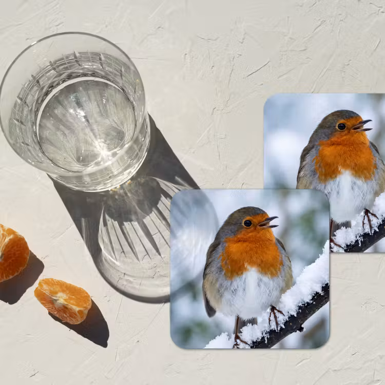 Onderzetter - Roodborstje - Tak - Sneeuw - Winter - Levendig — 3