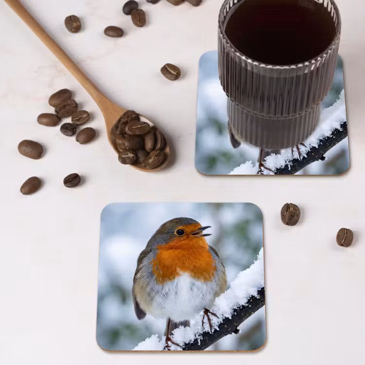 Onderzetter - Roodborstje - Tak - Sneeuw - Winter - Levendig — 4