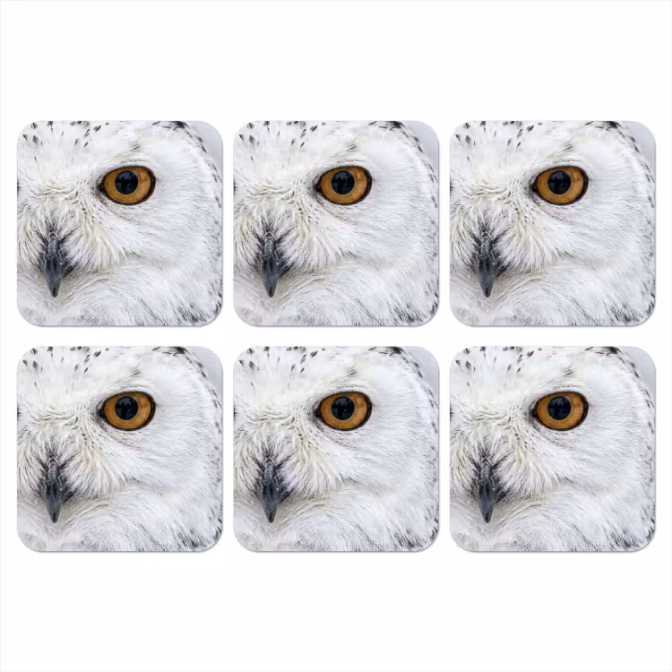 Onderzetter​ - Sneeuwuil - Oog - Wildlife - Wit — 1