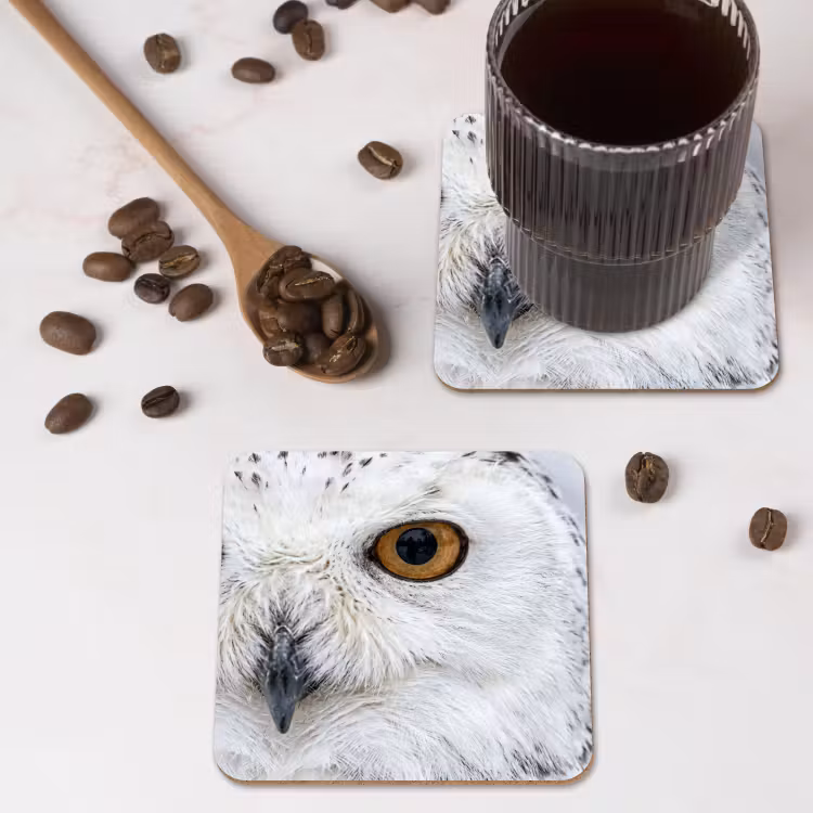 Onderzetter​ - Sneeuwuil - Oog - Wildlife - Wit — 4