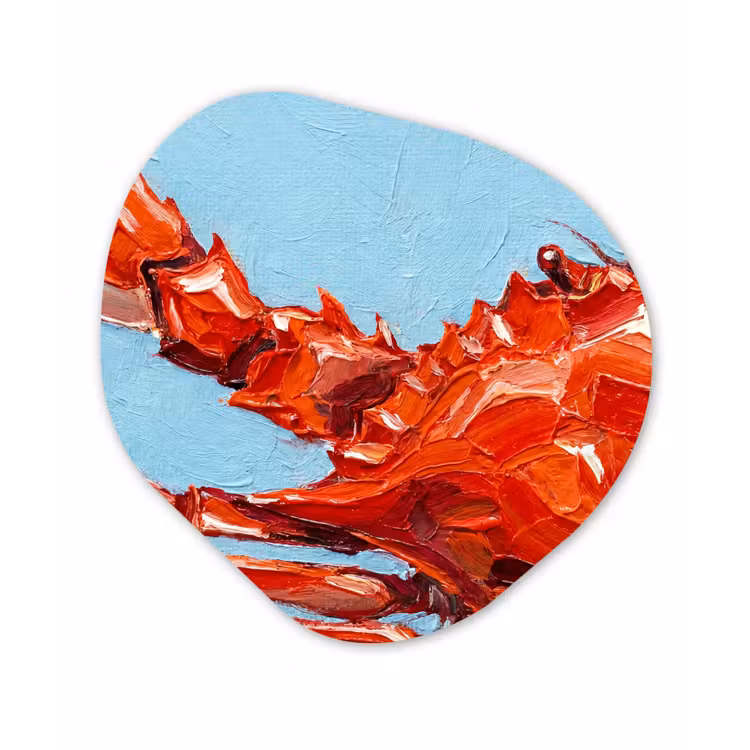 Organisch schilderij - Forex - Krab - Zee - Dieren - Abstract - Rood — 1