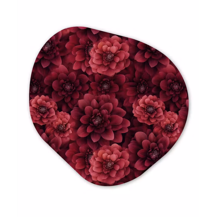 Organisch schilderij - Forex - Dahlias - Bloemen - Rood — 1