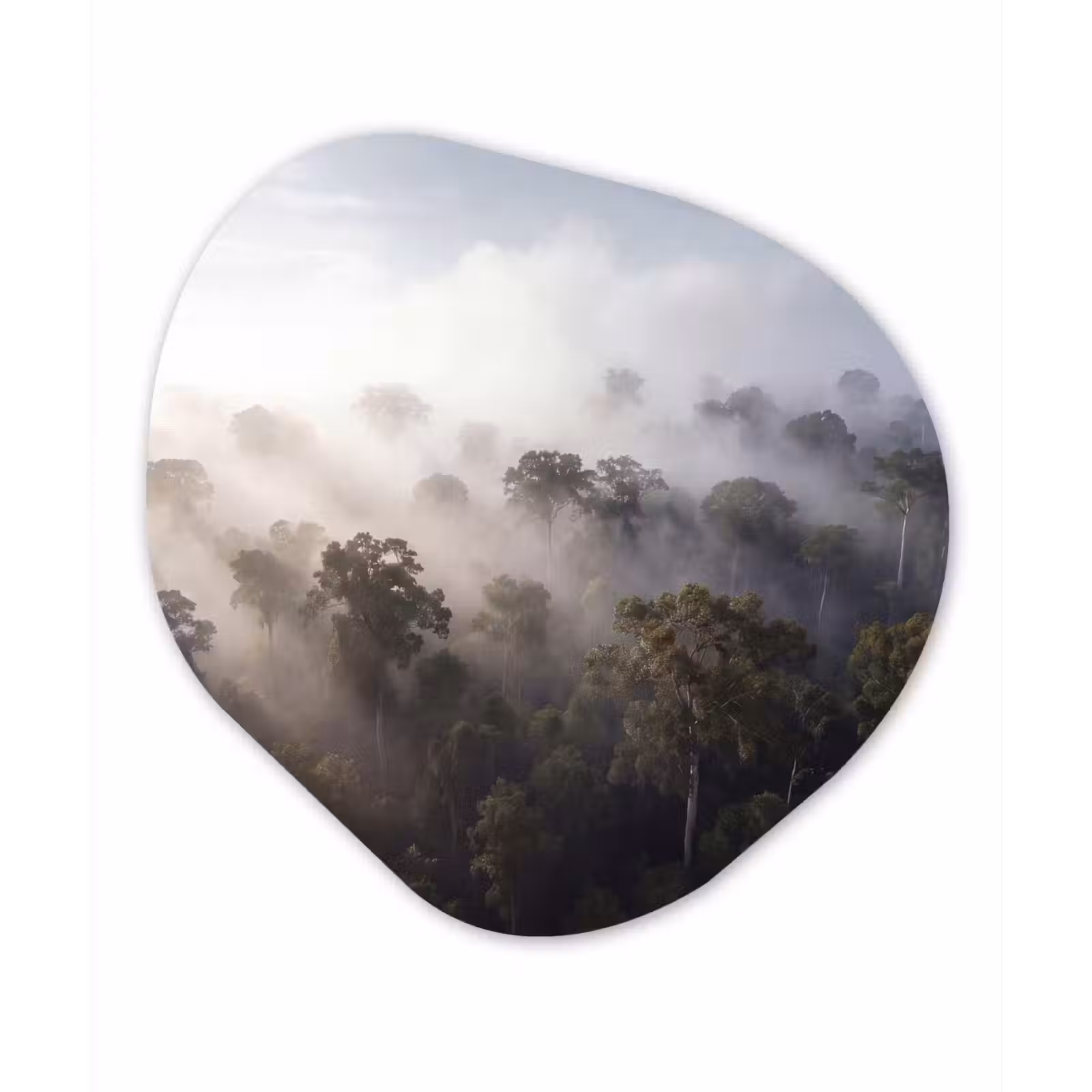 Organisch schilderij - Forex - Bos - Mist - Natuur - Groen — 1